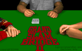screenshot of Grand Slam Bridge II