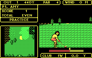 screenshot of Lee Trevino's Fighting Golf
