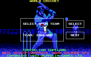 screenshot of World Cricket